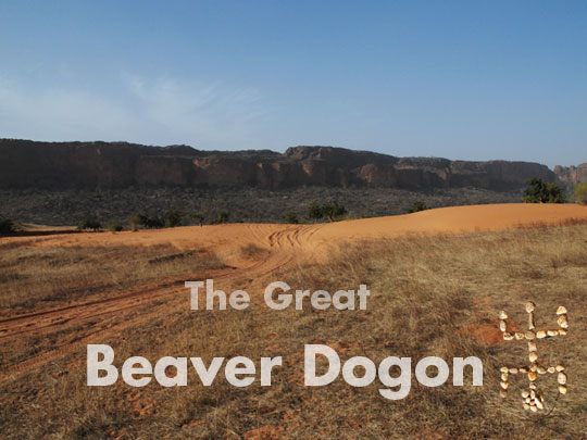 The Great Beaver Dogon, inn - Bar - Restaurant - Camping - Guides - in Sangha, Mali 